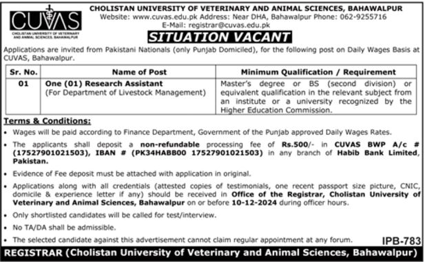 Cholistan University of Veterinary and Animal Sciences (CUVAS) Jobs 2024