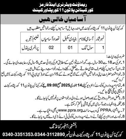 Civil Cook Jobs At Core Canine Platoon 11 Core Peshawar